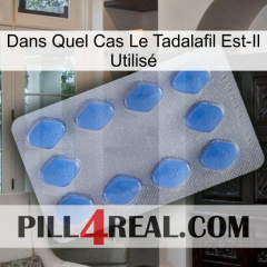 Dans Quel Cas Le Tadalafil Est-Il Utilisé 21